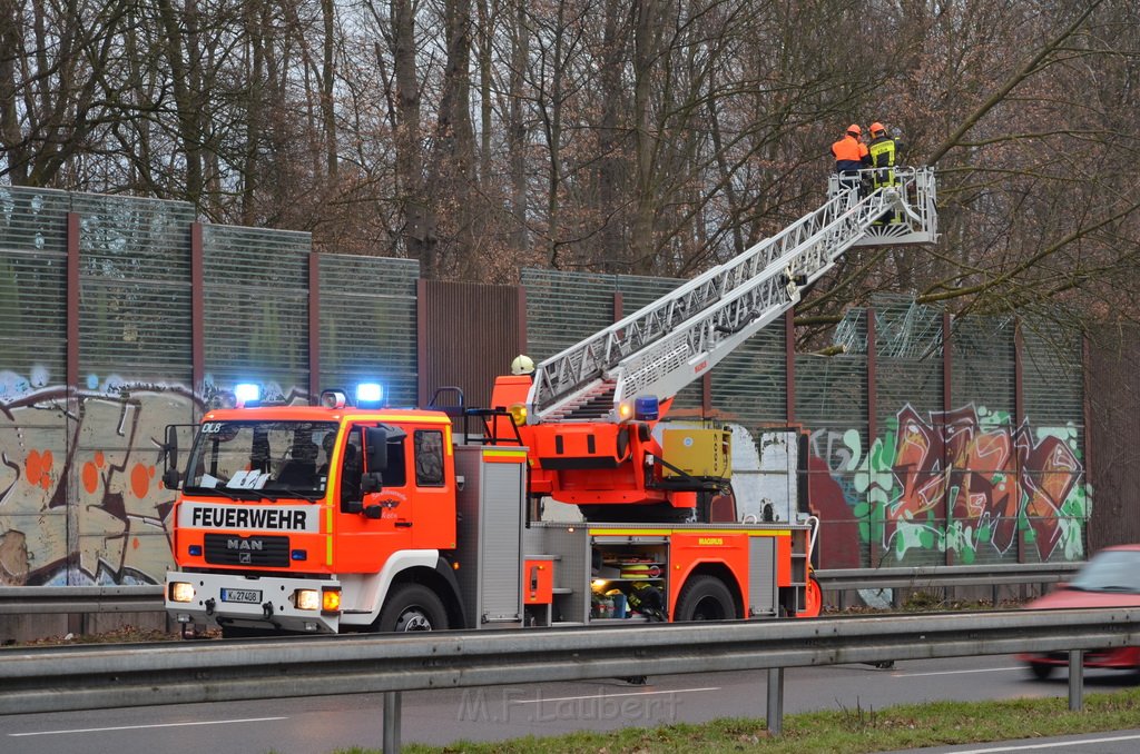 Einsatz BF Baum Koeln Vingst Vingster Ring P29.JPG - Miklos Laubert